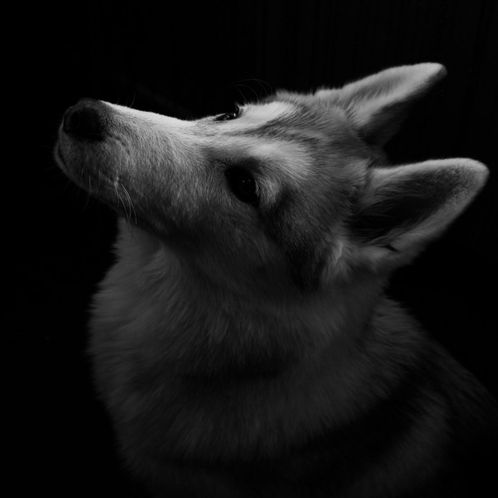 Dailymotion profile picture for @Mahesh