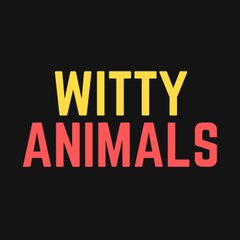 Witty Animals