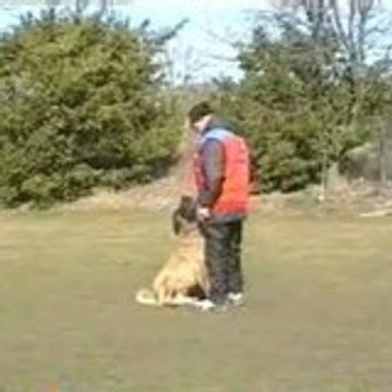 Pierre Fossaert