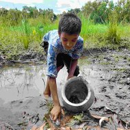 Rural Fishing & Fish Cutting