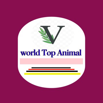 World Top animal