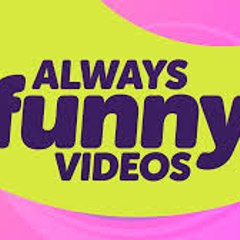 Funny Videos