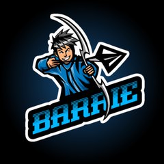Barrie Gamer