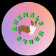 Animals World
