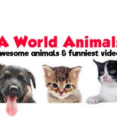 A World Animals