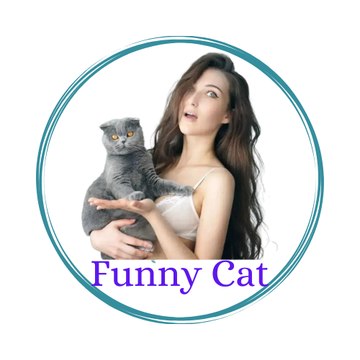 Funny Cat