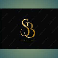 SANNI BSL TV