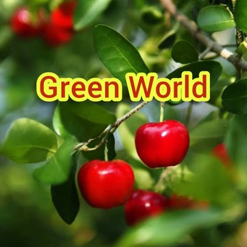 Green World