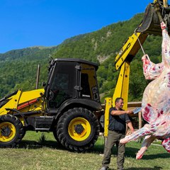 WILDERNESS COOKING✅