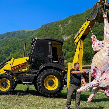 WILDERNESS COOKING✅