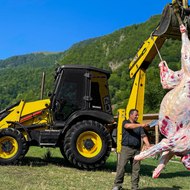 WILDERNESS COOKING✅