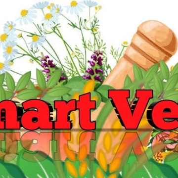 Smart Veda