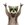 Cute animals