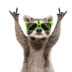 Cute animals