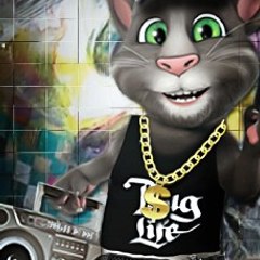 Talking tom
