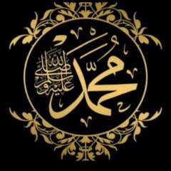 Quran Quotes