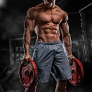 Bodybuilding Hub