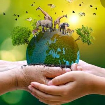 Animals lover & wildlife world