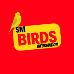 sm birds information