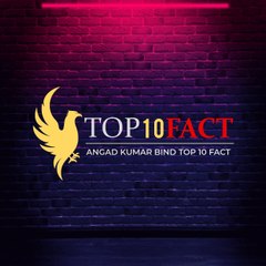 TOP 10 FACT ANGAD