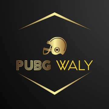 PUBG WALY