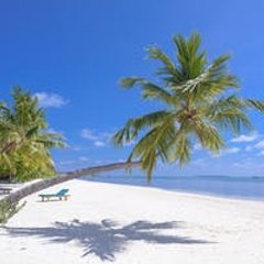 Entertainment videos