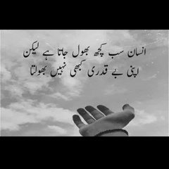 Faisal Shahzad