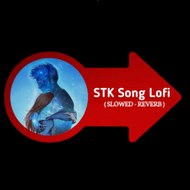stk song lofi