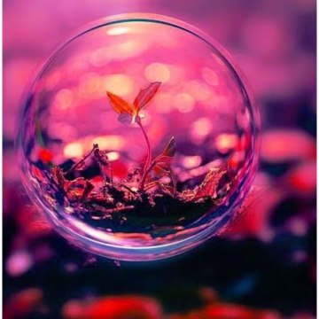 dm_623daf036a423520ad1160b9ead2fc85