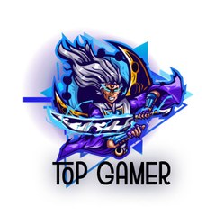 TopGamer