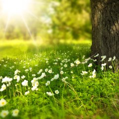 Beauty of Nature