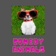 COMEDY ANIMALS