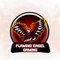 Flaming Eagle Gaming