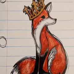 Fox 🦊