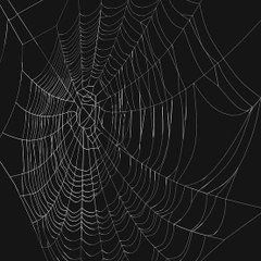 CobWeb
