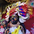 Krishna Love