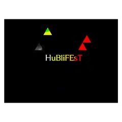 HuBliFEsT