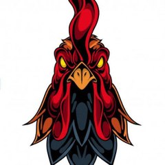 Ayam jantan