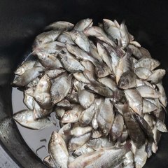 mancing rawa