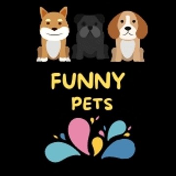 Funny pets