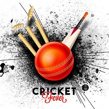 Sport  highlights and update