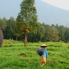 Kelanjutan Spot 7