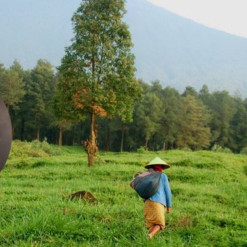Kelanjutan Spot 7