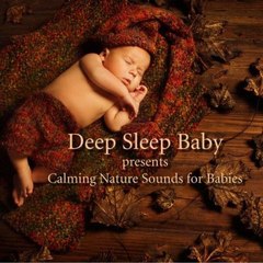 dm_a2e4eb56b5f887b958317dcb00f2f615