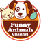 Funny Animal's