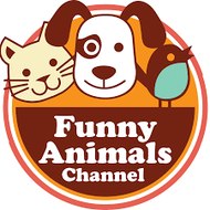 Funny Animal's