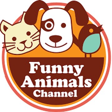 Funny Animal's