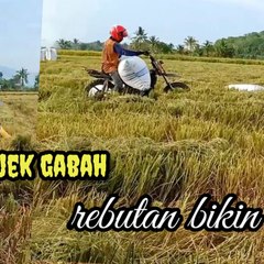 UDY Mahmudi