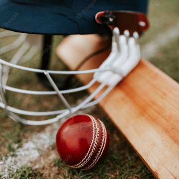 Cricket facts