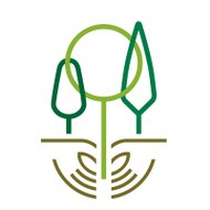 IEFC Planted Forests